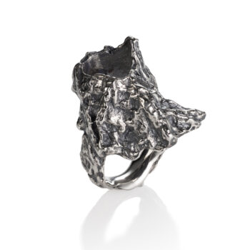 Large Barnacle Ring